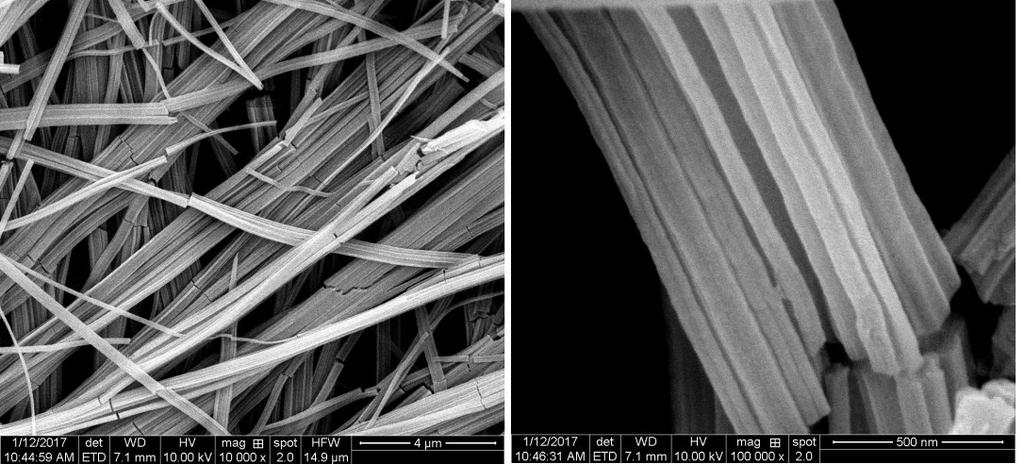 Fig. S3. High magnification FE-SEM images of [Cu(II)-Asp(H 2 O) x ] n ] nanofibers without Co(II) ions. Fig. S4.