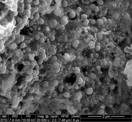 FE-SEM images and XRD patterns of the materials obtained from pyrolysis of