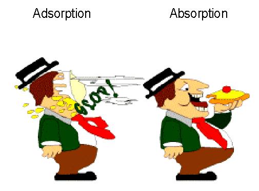 The difference between Adsorption & Absorption Adsorption is the attraction between the outer surface of a solid particle