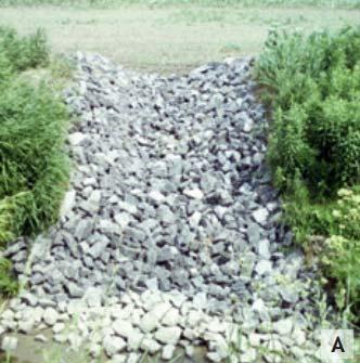 2.3 Hard Armoring Hard armoring is the technical placement of various sized rocks along a channel slope or streamline, reducing the flow energy of the stream and stabilizing the headcut.