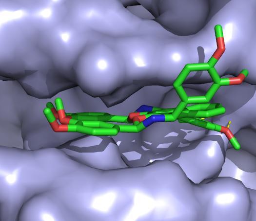 structure-based drug design. A few of the synthesised compounds showed good anti-cancer activity.