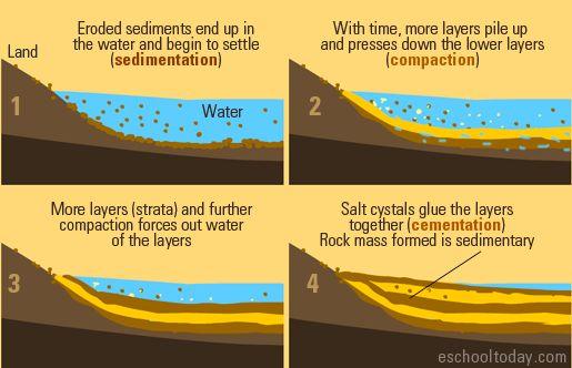 Deposition & Burial 4. Deposition: The process of settling out or precipitation of sediments on the ground or bottom of bodies of water 5.