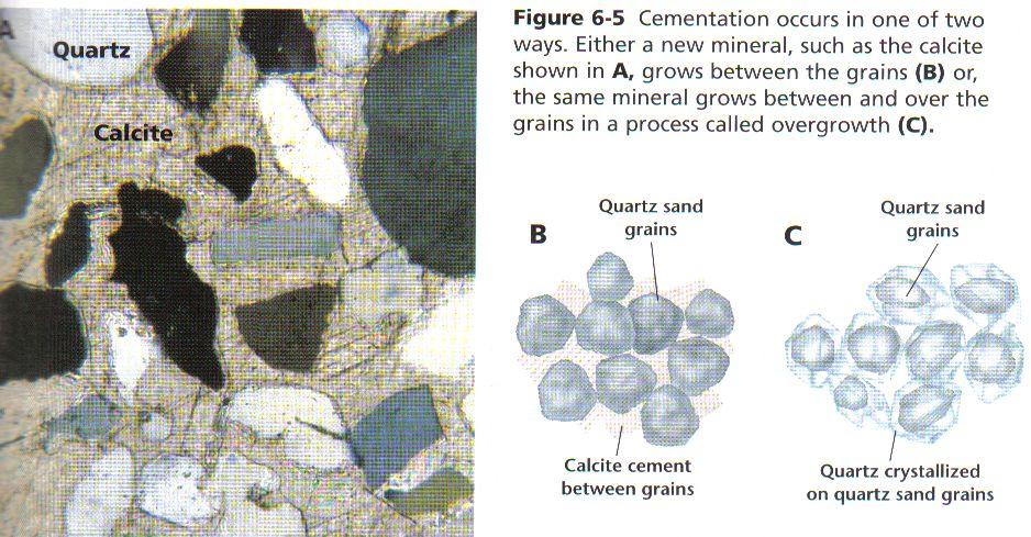 Compaction: Bottom layers of sediment are pressed TIGHTLY together by the pressure & weight of upper