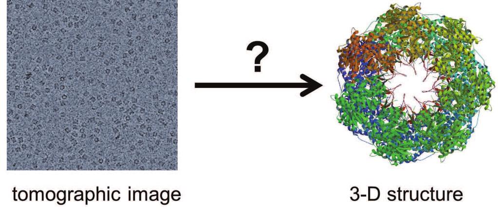 Single particle reconstruction using cryo-em Schematic drawing of the imaging