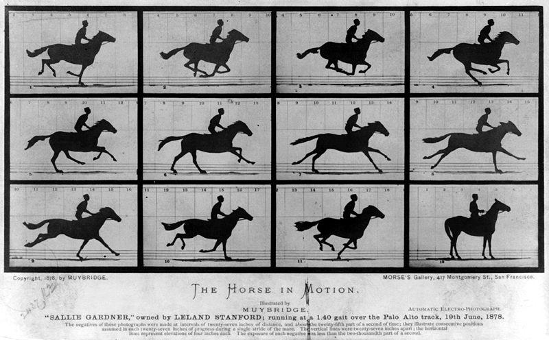 KINEMATICS File:The Horse in Motion.