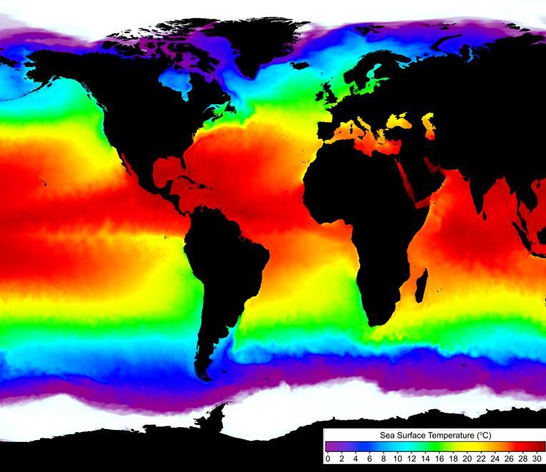 SSTs are above normal much of time now http://www.euroargo-edu.
