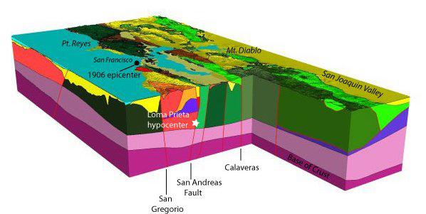 6C vs 1C Motions Regional Geophysical Models Free Field seismic
