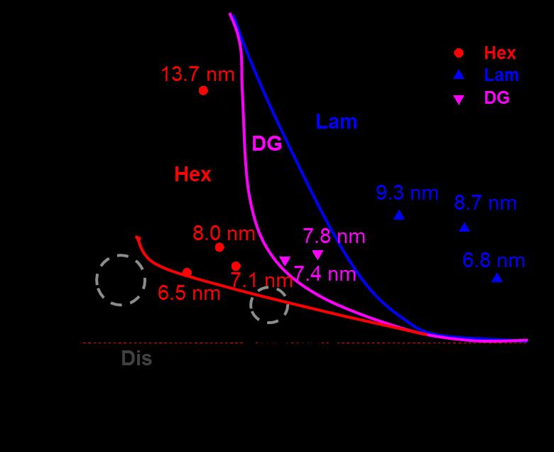 Figure 1.3 Phase diagram summarized for monodispersed PDMS-PLA, phase boundary is schematically drawn based on empirical rule.