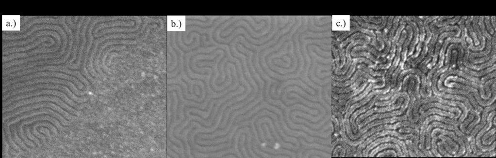 polished successively using slurries of 1, 0.3, and 0.05 µm alumina in 18.2 MΩ deionized water on a polishing microcloth (Buehler).