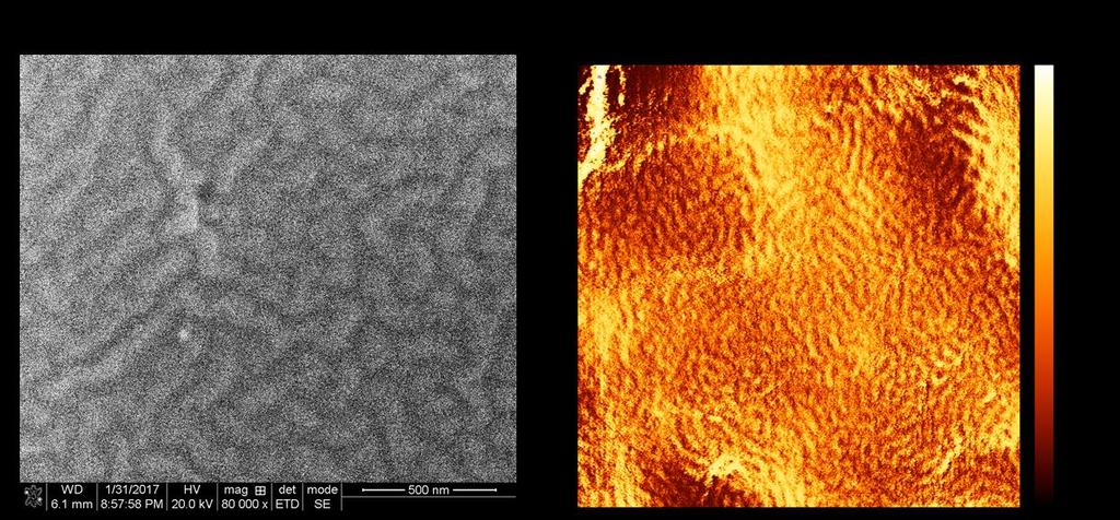 Figure 3.7 SEM and AFM images of BCP self-assembly on Nafion membrane. a.) PSbPMMA38.