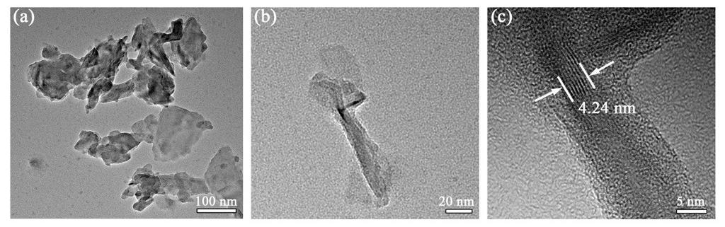 Fig. S5 TEM images of the sample obtained by ball-milling the CO(NH 2 ) 2 and BP