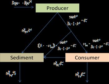 d e C is the export rate of the consumer d C C is the death rate for the consumer d s S is the export rate of the sediment µps is the uptake rate of nutrient from the sediment by the producer d P p