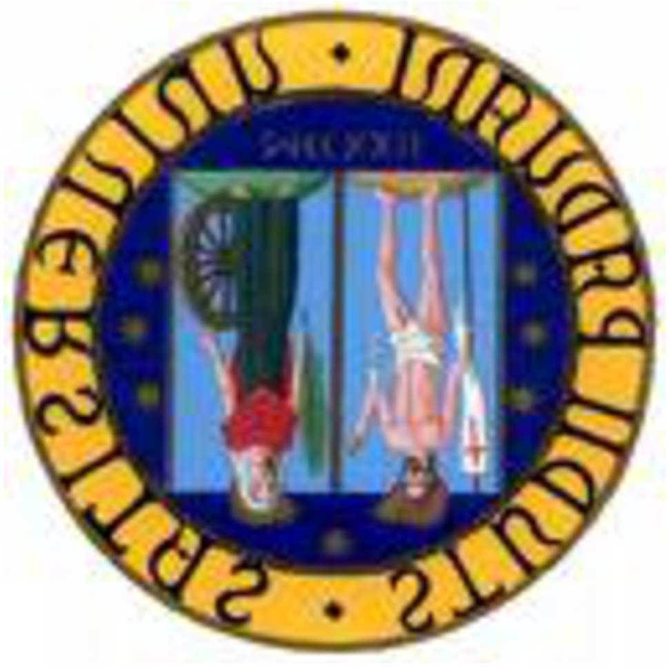 de Diego 3 1 DFA Galileo Galilei, Università di Padova and