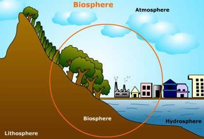 Biosphere includes all ecosystems on Earth 1.