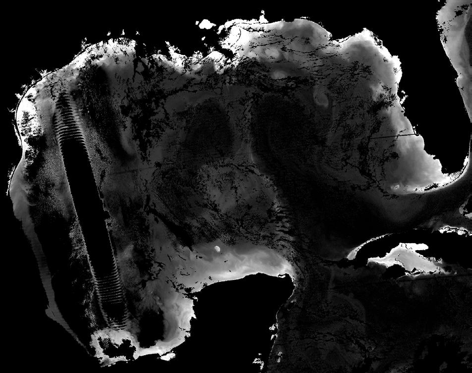 NRT Cruise support VIIRS chl image generated by NESDIS in support of a SEFSC survey cruise looking for bluefin tuna larvae.