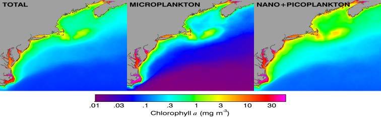 MicroZooplankton Nano-