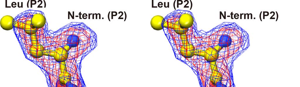 Figure S3 Representative electron density map of the bound Leu-Glu dipeptide in G675R mutant DAP