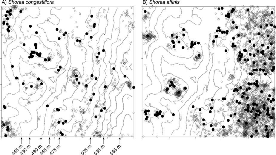 December 2007 MULTIPLE CLUSTERING IN TROPICAL FORESTS 3089 FIG. 1.