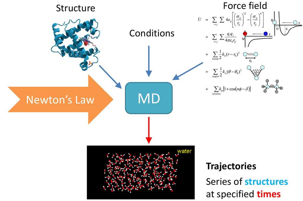 Application of MSM to MD simulation Markov State Model MD simulation Transition modes between
