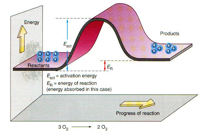 Endothermic Reaction Endothermic and Exothermic Processes Reaction Rates For a