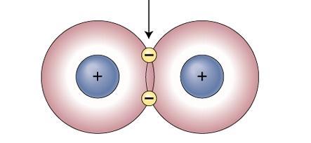 Covalent Bond Covalent bonds are much stronger than ionic bonds.