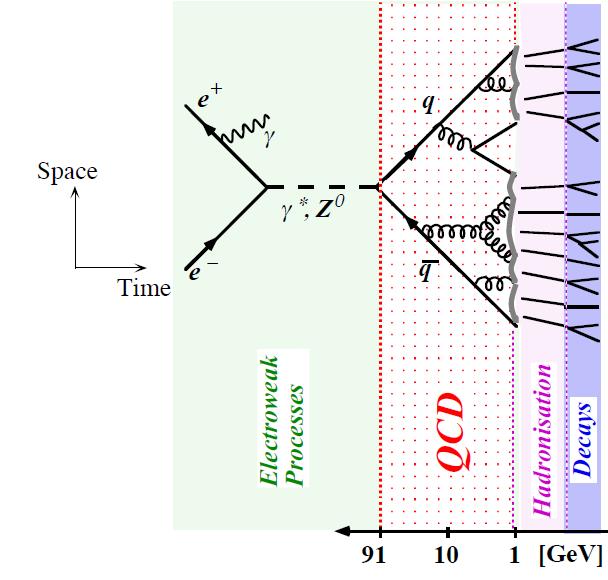 Jets in QCD: quarks and gluons produced at high energies radiate more quarks and gluons and hadronize;