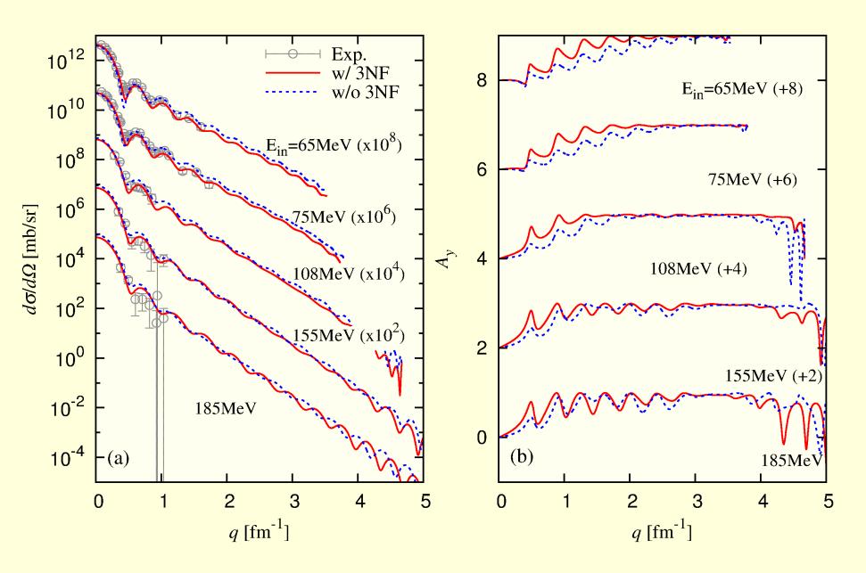Neutron elastic scattering on 208 Pb by the
