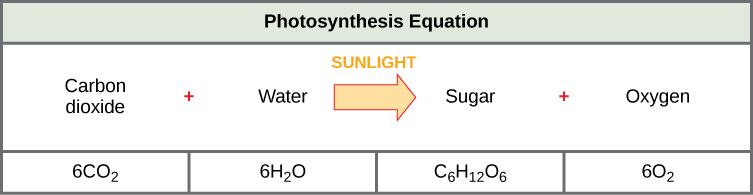 OpenStax-CNX module: m55563 6 The complex reactions of photosynthesis can be summarized by the chemical equation shown in Figure 4.