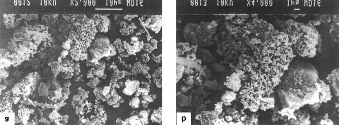 Synthesis of MoO 3 and its polyvinyl alcohol nanostructured film 479 fication, respectively.