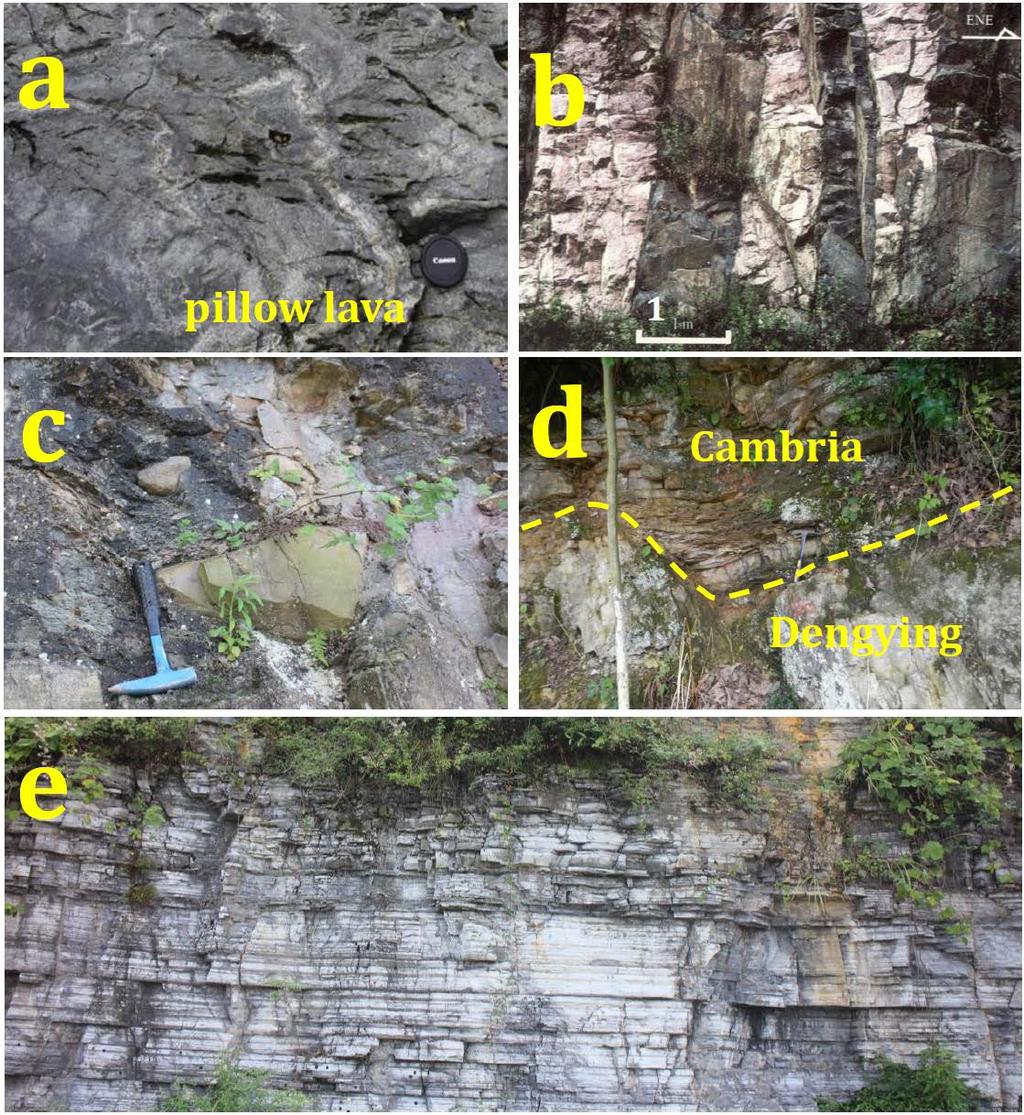 Fig. 2 Field photographs showing (a) pillow lava of the Miaowan Ophiolite (H. Deng et al.