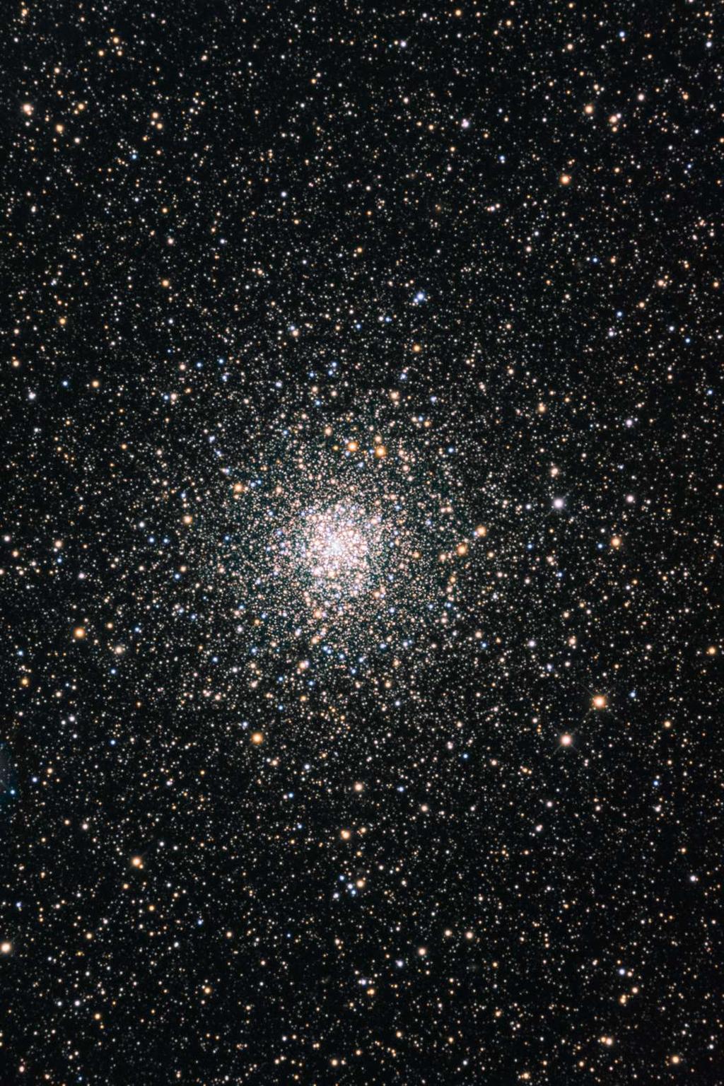 The white dwarfs in globular clusters can be used to