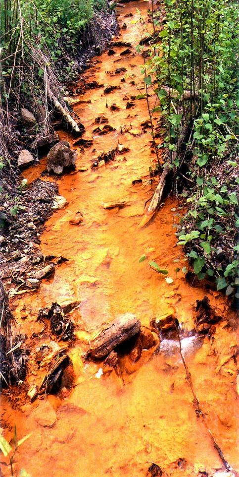 Lower ph water causes release of heavy metals from surrounding rock into water sources Acid mine runoff is usually a