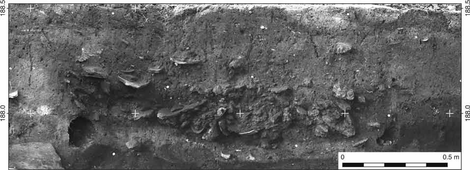 Pit 8 in the northwest corner is marked. Fig. 10.