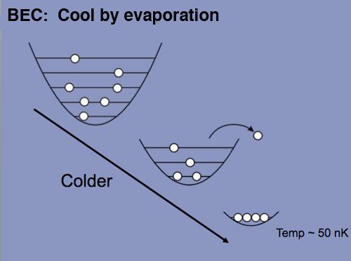 Evaporative cooling Quantum gases: bosons and