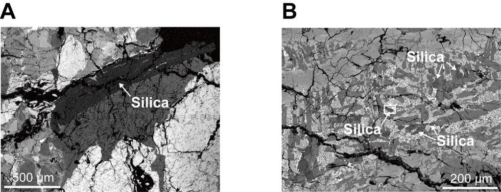 fig. S4. BSE images of silica varieties in various lithologies of NWA 2727. (A) A coarse grain of euhedral tridymite is surrounded by fine to coarse olivine, clinopyroxene and plagioclase crystals.