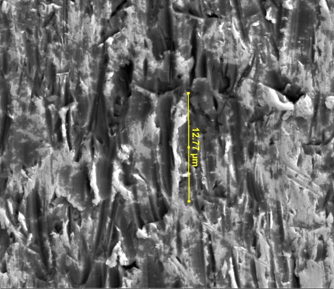 SEM Image of Coupon after the Erosion Test on 6 mm From