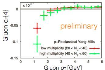 Dusling & Venugopalan PRD 2013 Correlations from initial state in p+pb collisions at 5.