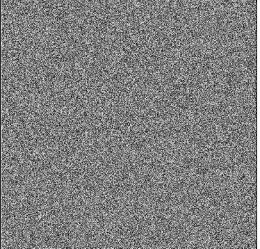 24 25 Orientation-selective g x If the signal is i1d the filter can maintain the