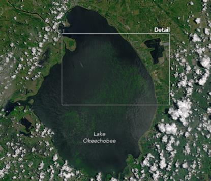 discharges of nutrient-laden freshwater from Lake Okeechobee into