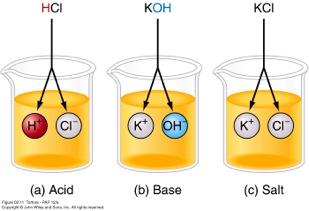 Inorganic Acids, Bases, and Salts Acid-dissociates into H+ and anion (proton donor) Base-removes H+ from