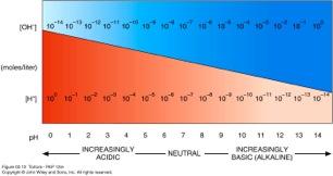 Acid-Base Balance: ph ph=concentration of H+ (moles/liter) ph 7=.