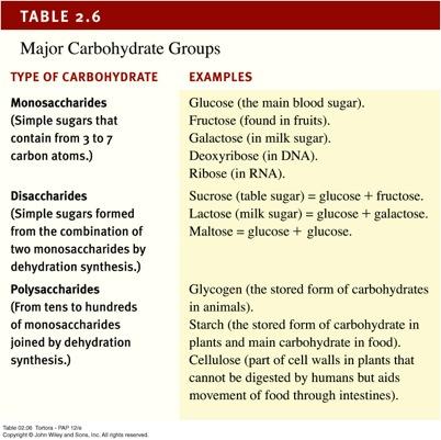 Organic Compounds: Carbohydrates Made up of C, H, O Include sugars, glycogen, starches,