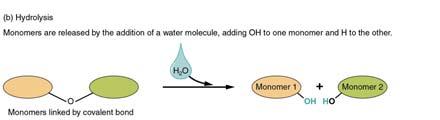 Chemical Reactions Figure 2.