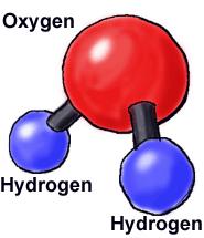 molecule and a compound. O 2 one type of atom Form a molecule, but not a compound C.