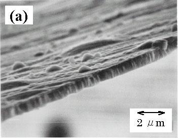 Fig. 3 SEM photograph of co-deposited carbon dust (a) and Raman spectra of several co-deposited carbon dusts (b).