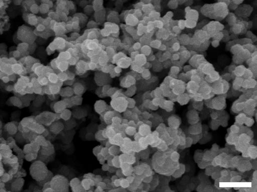 3. Supplementary Figures Supplementary Figure 1. Scanning electron microscopy image showing magnetite particles. Scale bar = 2 μm.