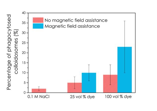 Supplementary Figure 4. Plot showing percentage of silica colloidosomes ingested ( phagpcytosed by MPE droplets (ph = 10.
