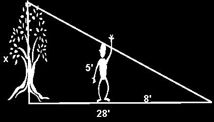 Honors Math 2 Exam Review Packet 5 Mastery Review from 1st Quarter 1. At a certain time of the day, the shadow of a 5' boy is 8' long. The shadow of a tree at this same time is 28' long.