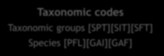Codes for non-taxonomic entities