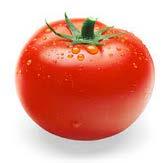 Preferred name: tomato (direct-seeded)
